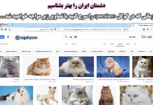 جستجوی کلمه Persian در گوگل - دشمنان ایران را بهتر بشناسیم